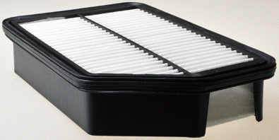 Air Filter (A141642)