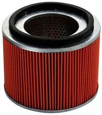 Air Filter (A140099)