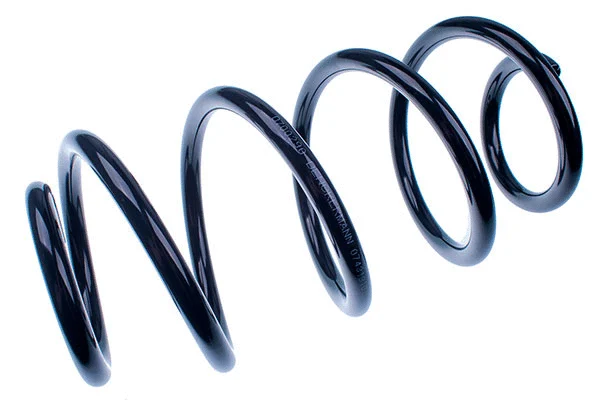 Suspension Spring (D700290)