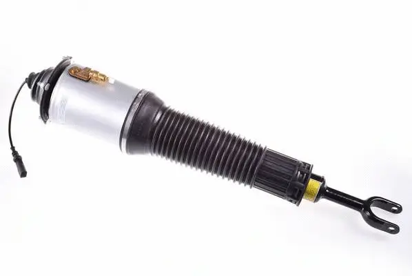Air Suspension Strut (DSA011G)