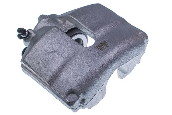 Brake Caliper (B190025R)