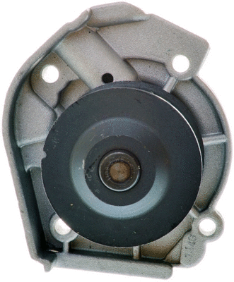 Water Pump, engine cooling (A310914P)