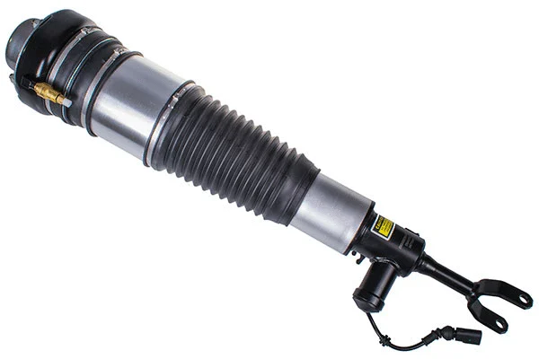 Air Suspension Strut (DSA027G)