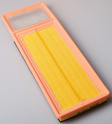 Air Filter (A140892)