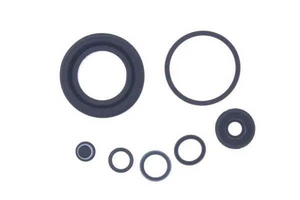 Repair Kit, brake caliper (B200001)