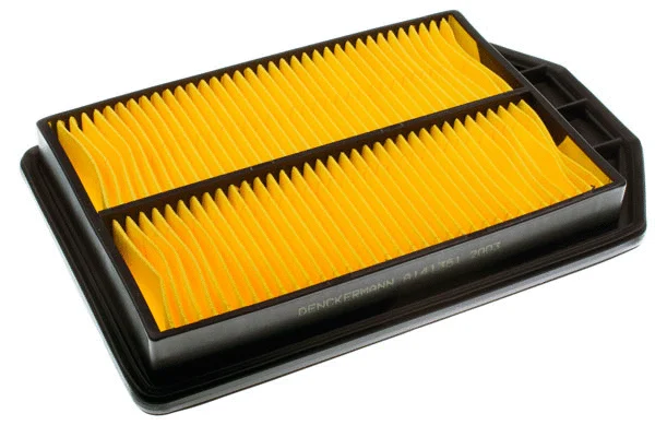 Air Filter (A141351)