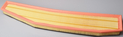 Air Filter (A141659)