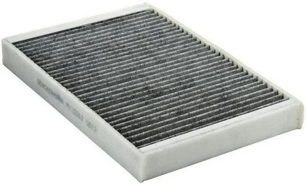 Filter, cabin air (M110262)