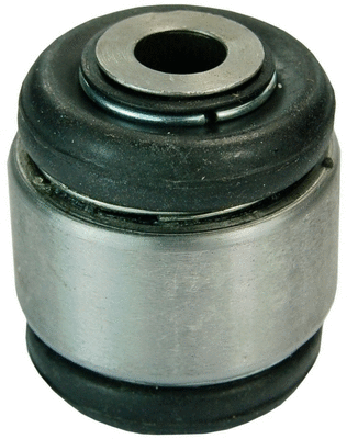 Mounting, control/trailing arm (D300061)