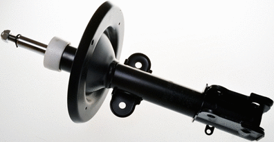 Shock Absorber (DSB055G)