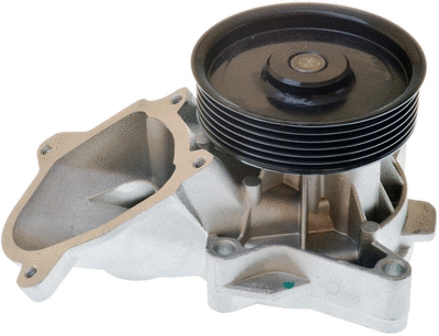 Water Pump, engine cooling (A310904P)
