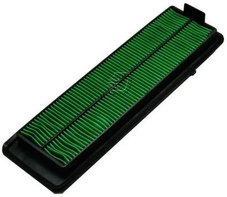 Air Filter (A141337)