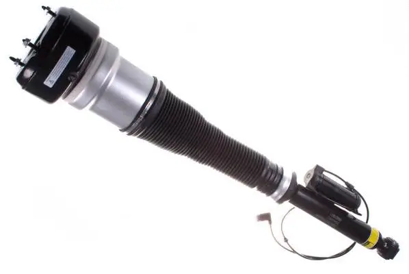 Air Suspension Strut (DSA006G)