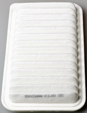 Air Filter (A141494)