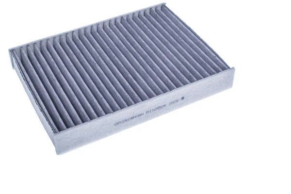 Filter, cabin air (M110950K)