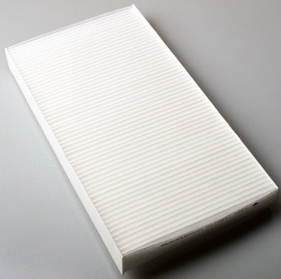 Filter, cabin air (M110897)