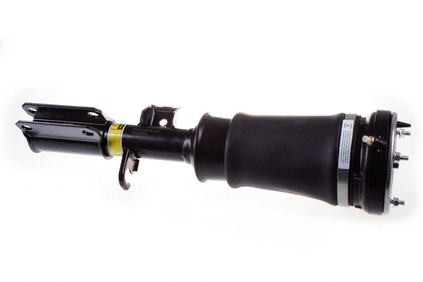 Air Suspension Strut (DSA008G)
