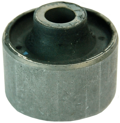 Mounting, control/trailing arm (D300044)