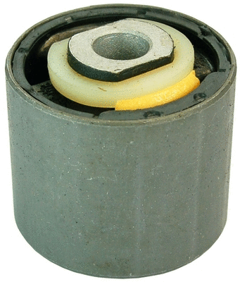 Mounting, control/trailing arm (D300055)