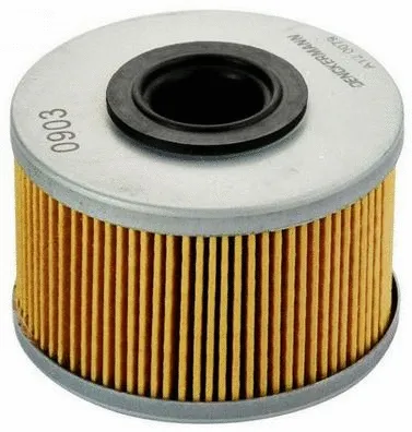 Fuel Filter (A120079)