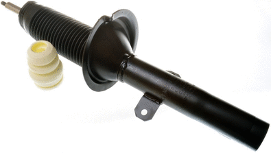 Shock Absorber (DSB171G)