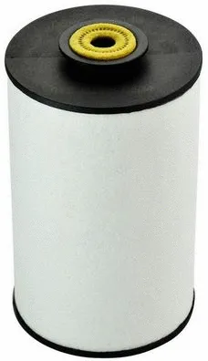 Fuel Filter (A120182)