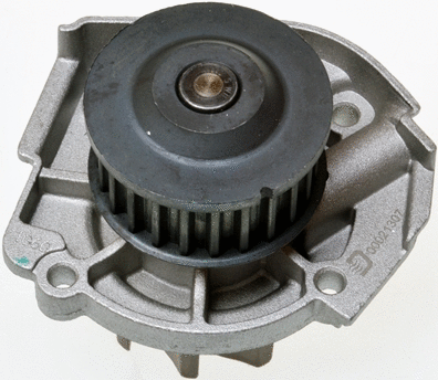 Water Pump, engine cooling (A310923P)
