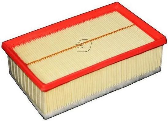 Air Filter (A141244)