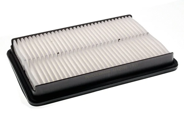 Air Filter (A142098)
