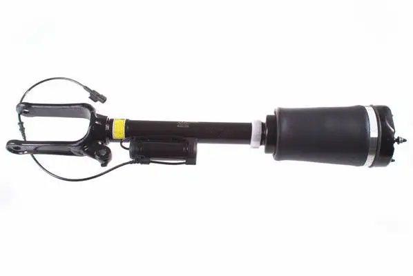 Air Suspension Strut (DSA001G)