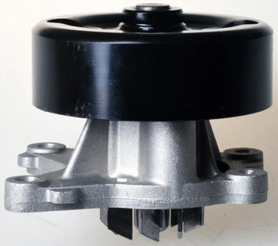 Water Pump, engine cooling (A310957P)