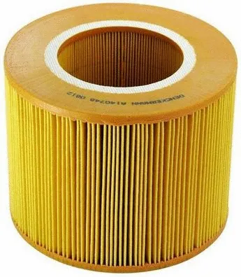 Air Filter (A140748)