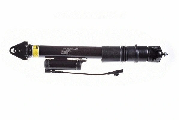 Air Suspension Strut (DSA002G)