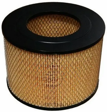 Air Filter (A140787)