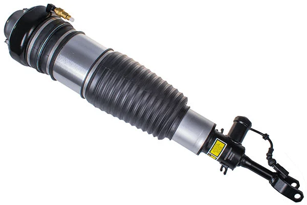 Air Suspension Strut (DSA026G)