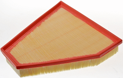 Air Filter (A141231)