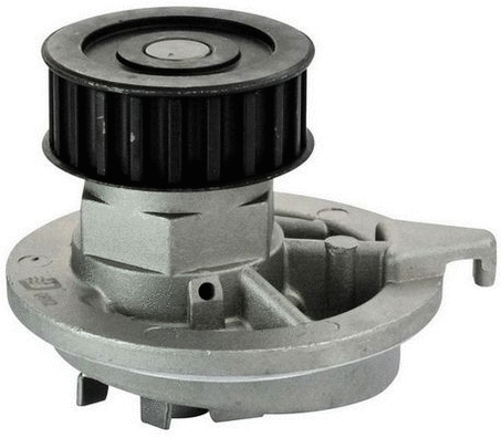 Water Pump, engine cooling (A310035)