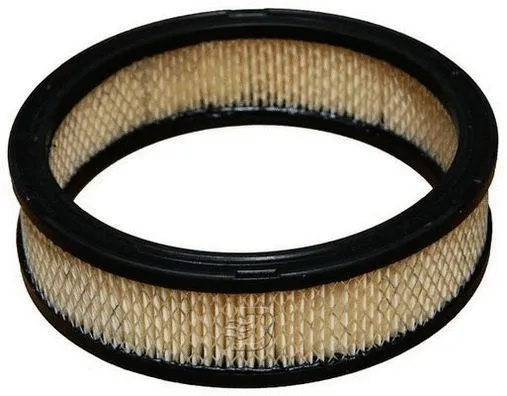 Air Filter (A141078)