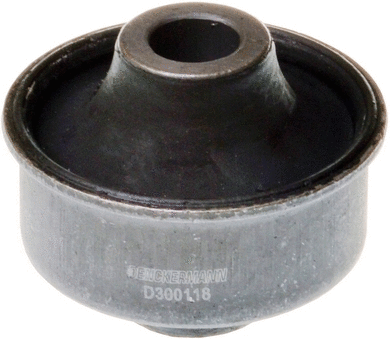 Mounting, control/trailing arm (D300118)
