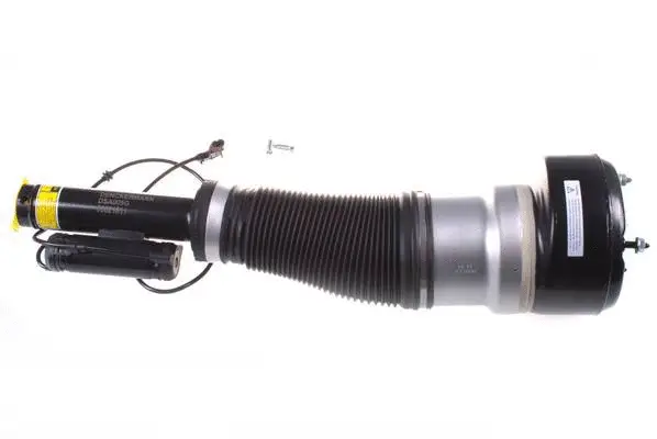 Air Suspension Strut (DSA005G)