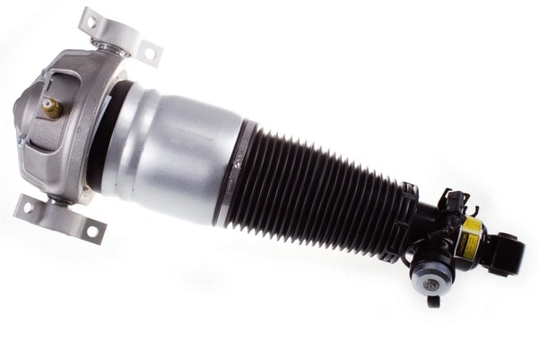 Air Suspension Strut (DSA017G)