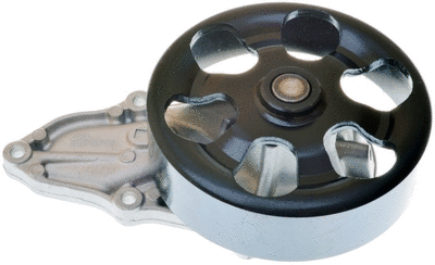 Water Pump, engine cooling (A310847P)