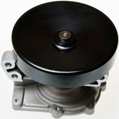 Water Pump, engine cooling (A310930P)