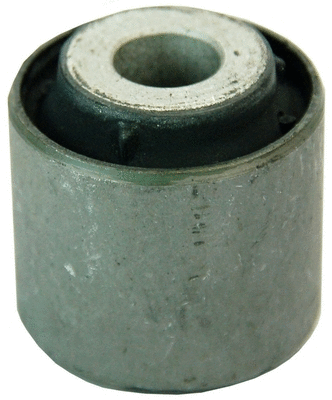 Mounting, control/trailing arm (D300036)