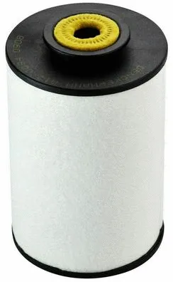 Fuel Filter (A120094)