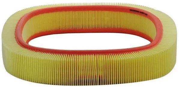 Air Filter (A140070)