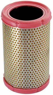 Air Filter (A140045)
