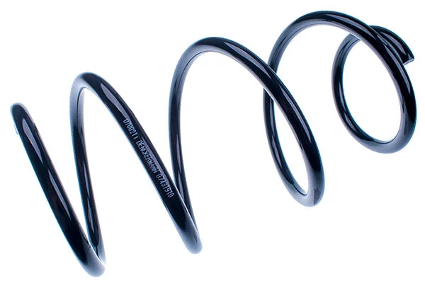 Suspension Spring (D700211)
