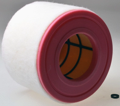 Air Filter (A141727)