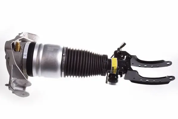 Air Suspension Strut (DSA015G)